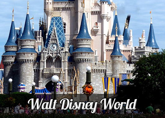 Walt Disney World Information
